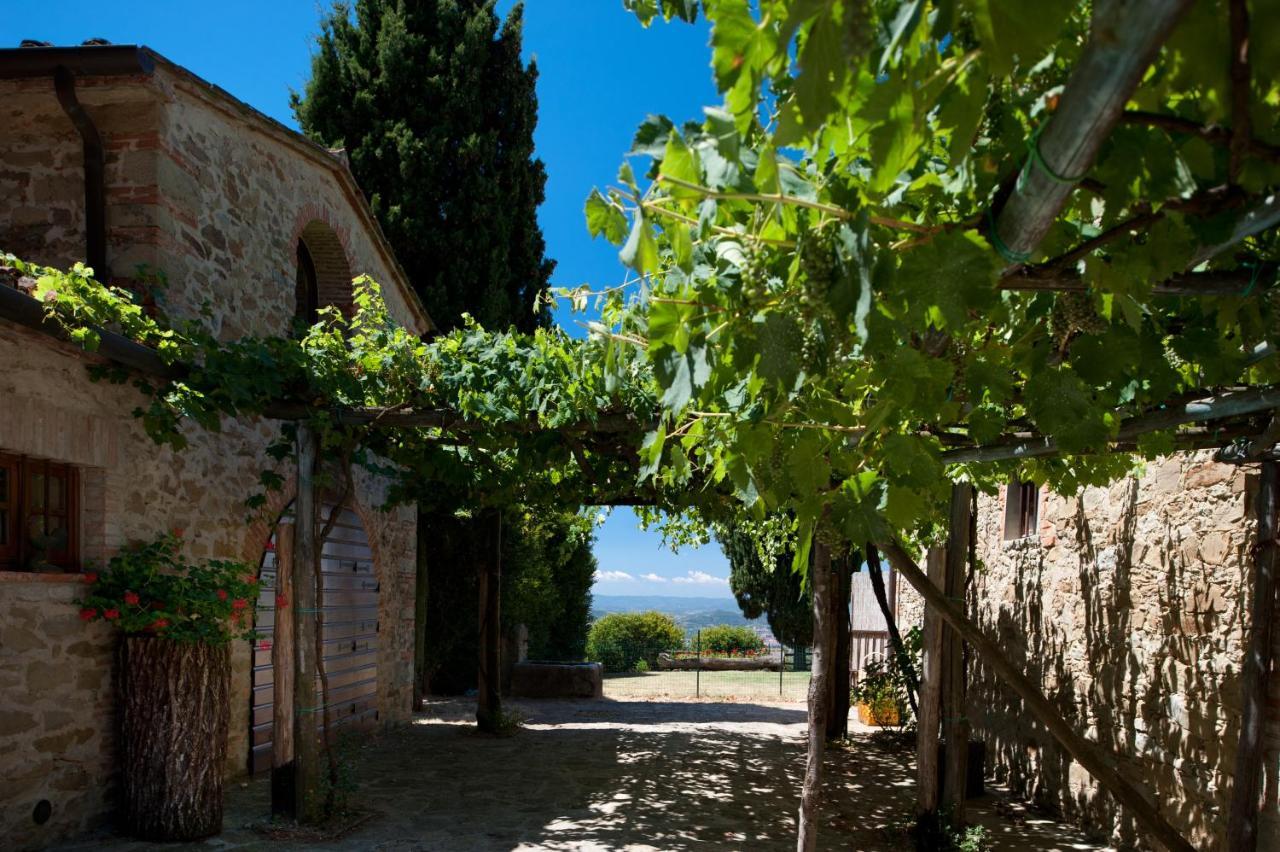 Villa Mandorlo - Pomaio Wines & Hospitality Arezzo Exterior foto